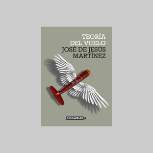 Teoría del Vuelo